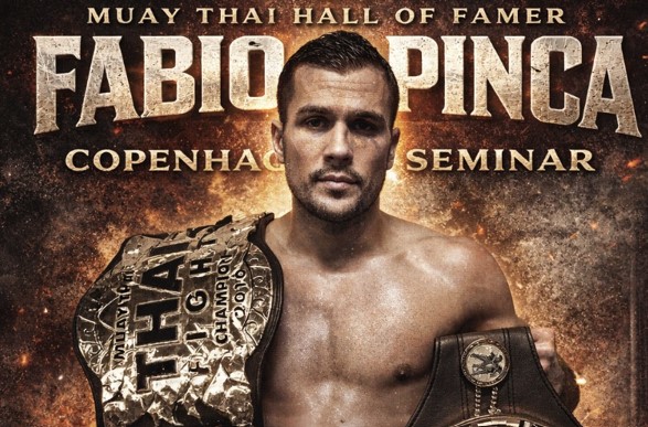 Fabio Pinca Seminar